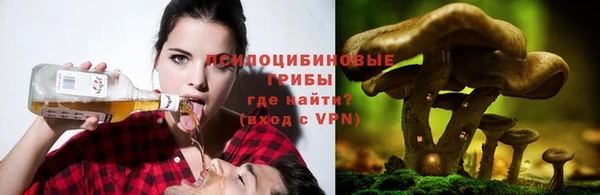 кокаин VHQ Бородино